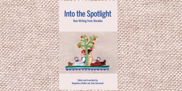 Into the Spotlight graphic